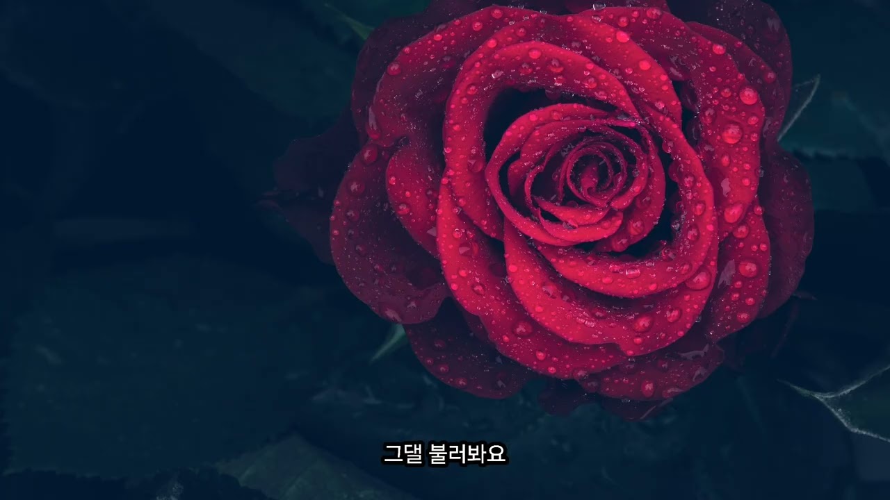 미안해요 (Male Ver)