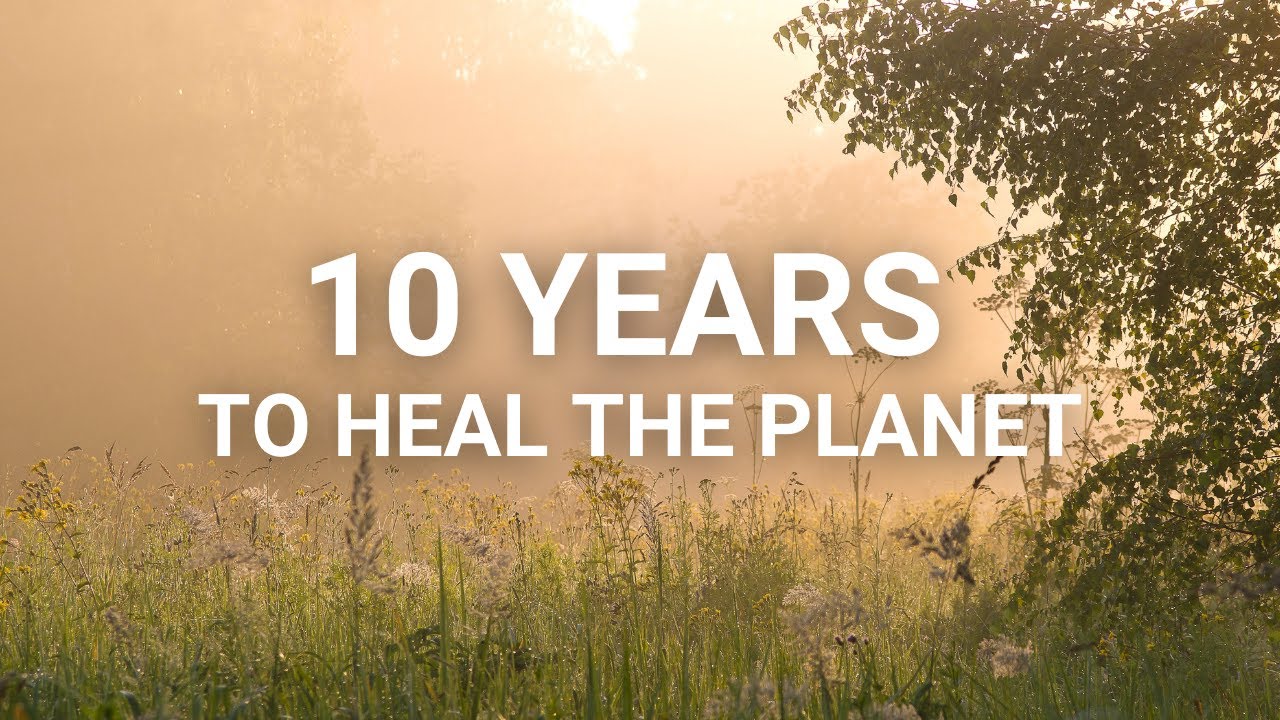 UN Decade on Ecosystem Restoration: 10 years to heal the planet