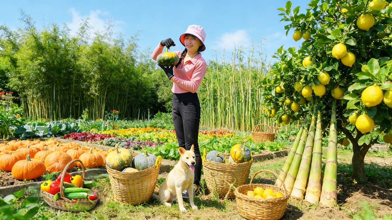 Harvest, Sell, And Cook With Pumpkin, Bamboo Shoots, Lime – Peaceful Farm Life