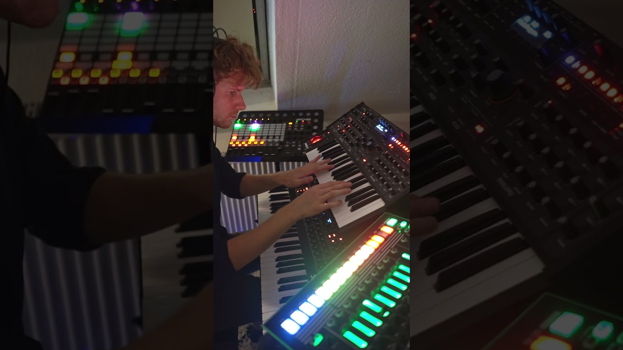 D'nB Loop-jam with Prophet Rev2 & Pro-3