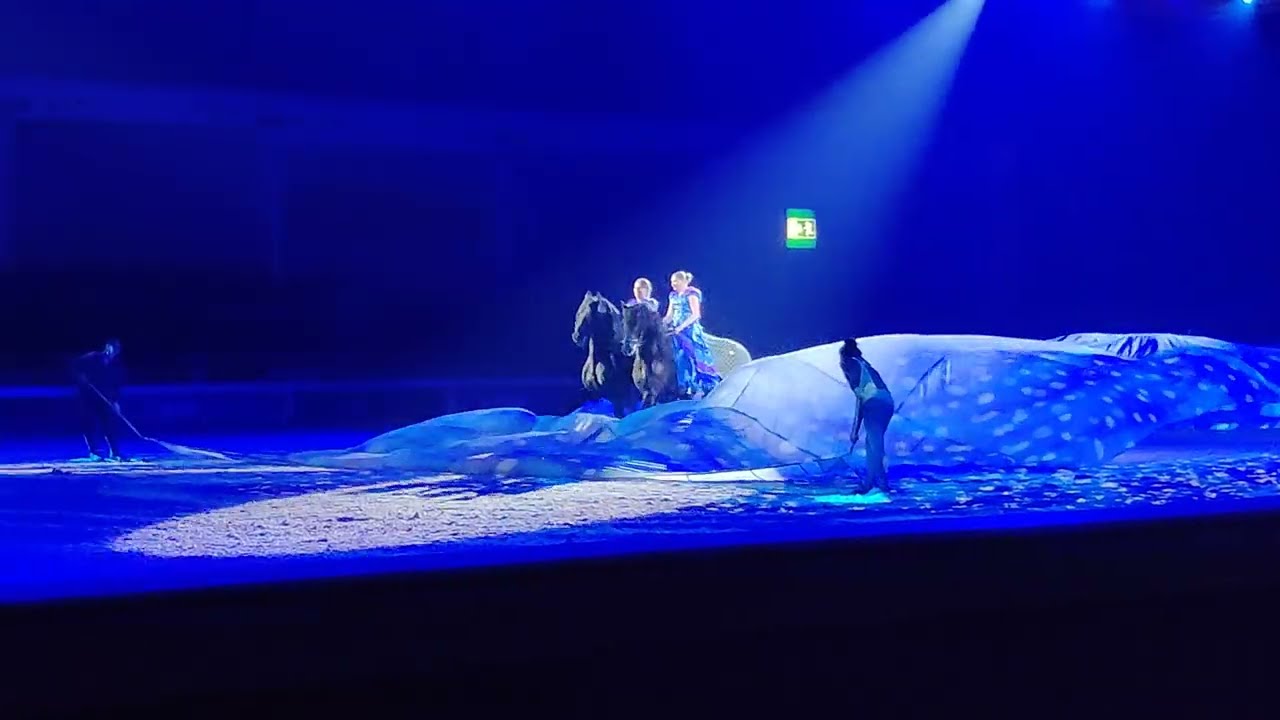 Pferd Bodensee 2024 Gala „Atlantis“ von Tatjana Früh und Sandra Faas