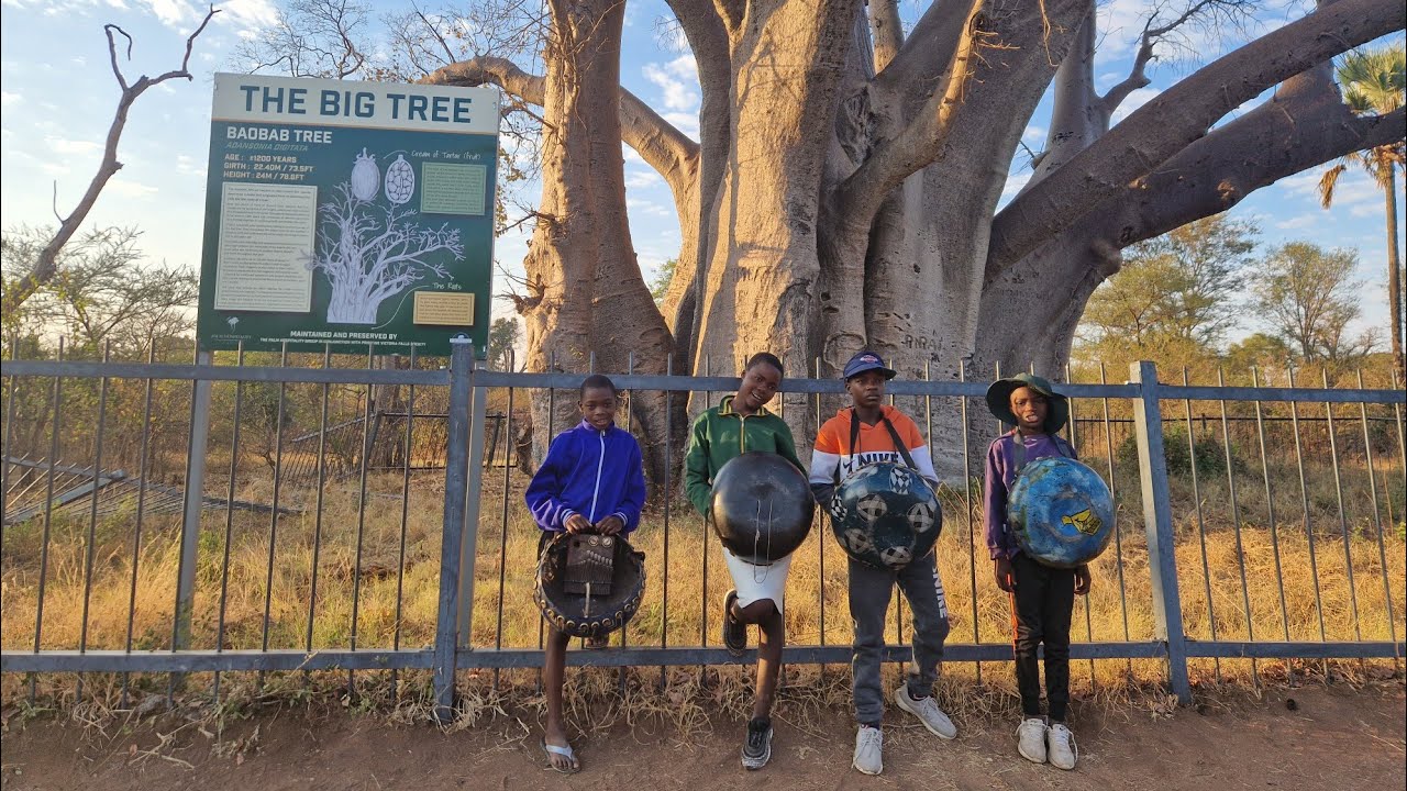 Mbira Music can become the biggest export from rural Zimbabwe 🇿🇼