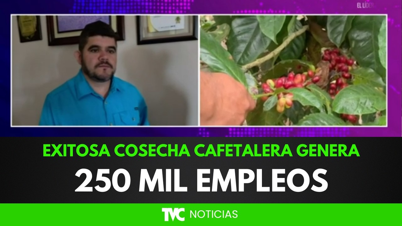 Comayagua lidera producción de café con más de 1.1 millones de quintales en 2026
