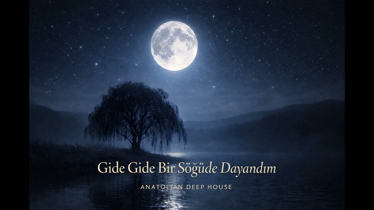 Gide Gide Bir Söğüde Dayandım | Anatolian Deep House