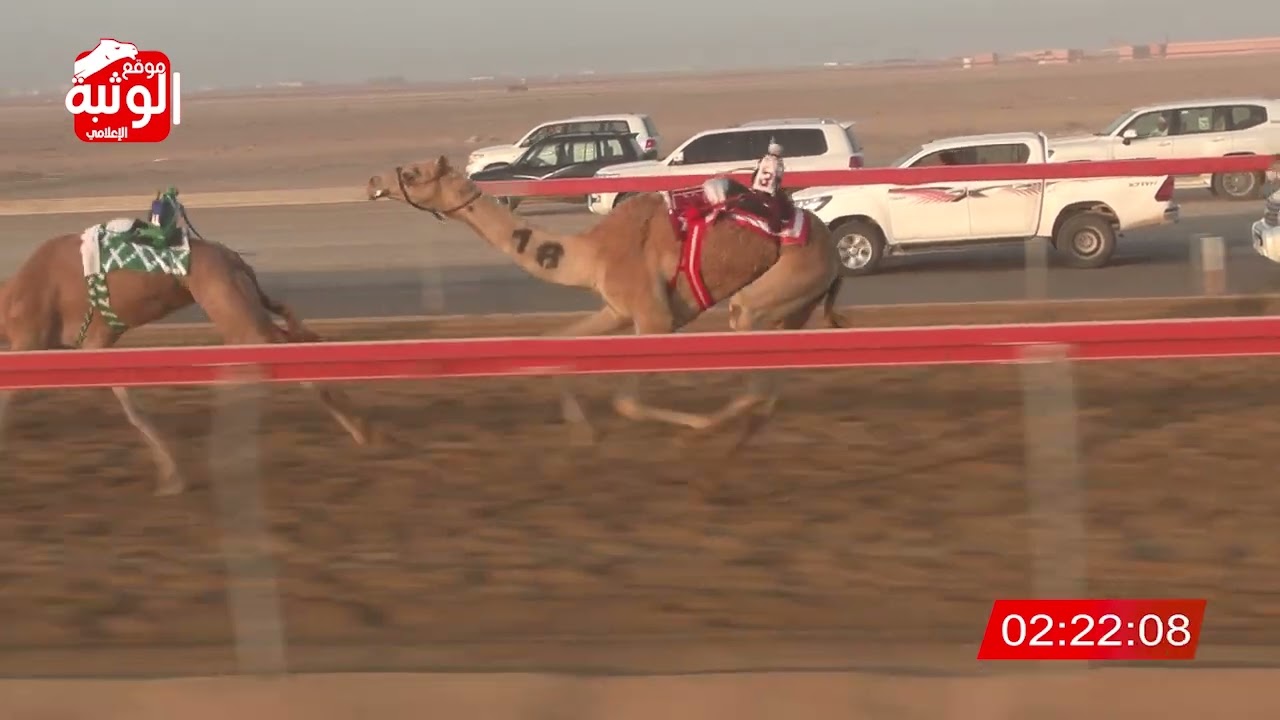 الشوط 4 (سيوف) لـ سيف سالم حمد الدرعي 4:25 ، شارة الديوان 2023/10/13 حقايق سويحان