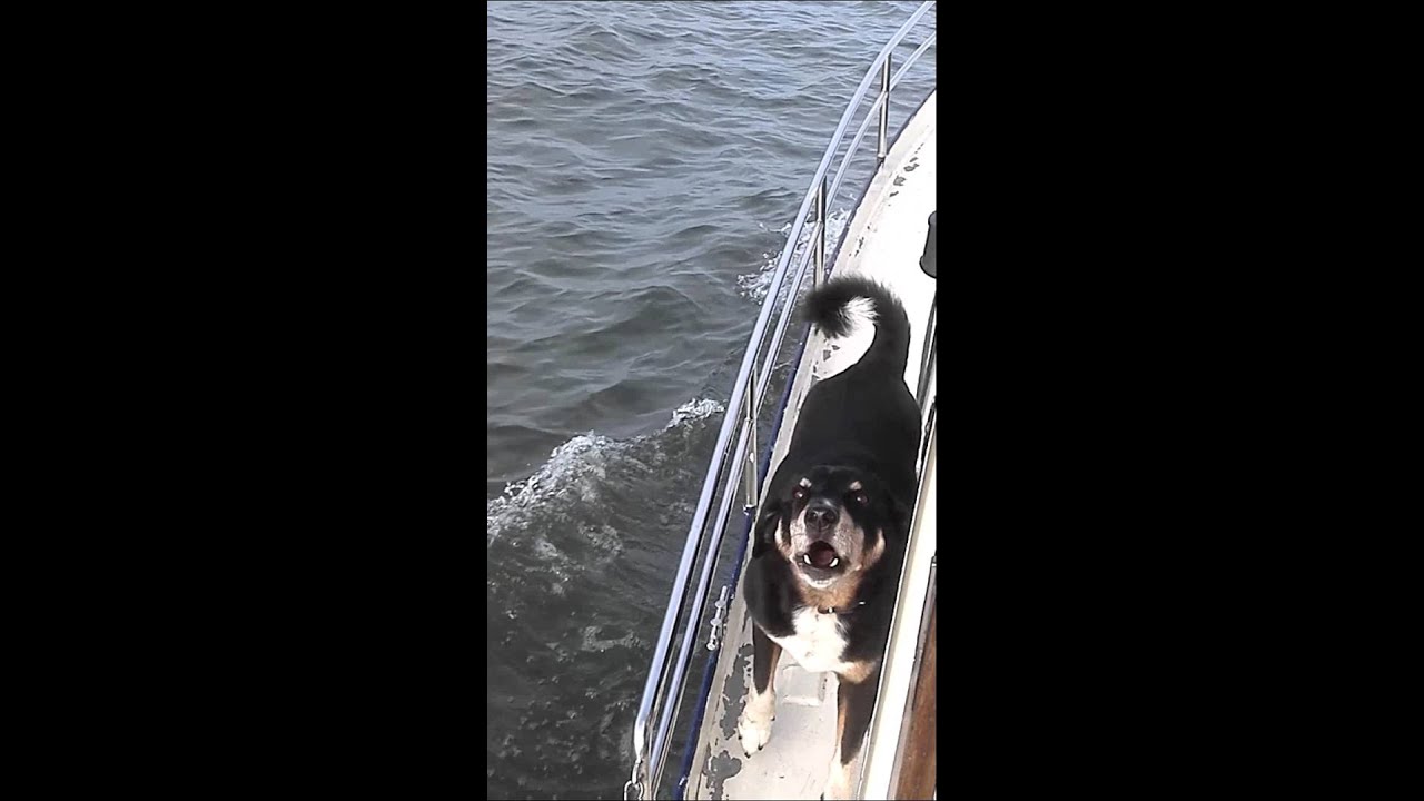 VID 20150918 0916431