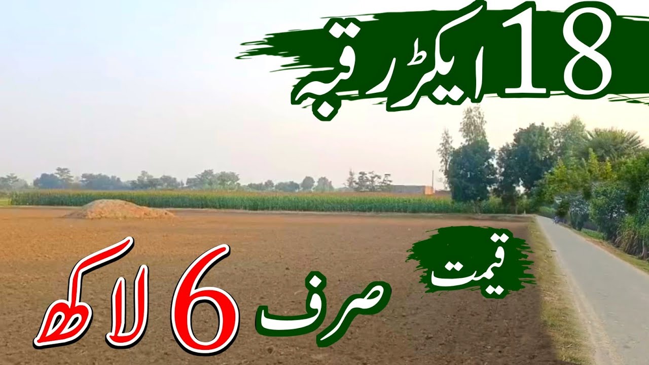 18 Acres Prime Agriculture Land For Sale | Best Low Price Land in Punjab Pakistan | Episode 175