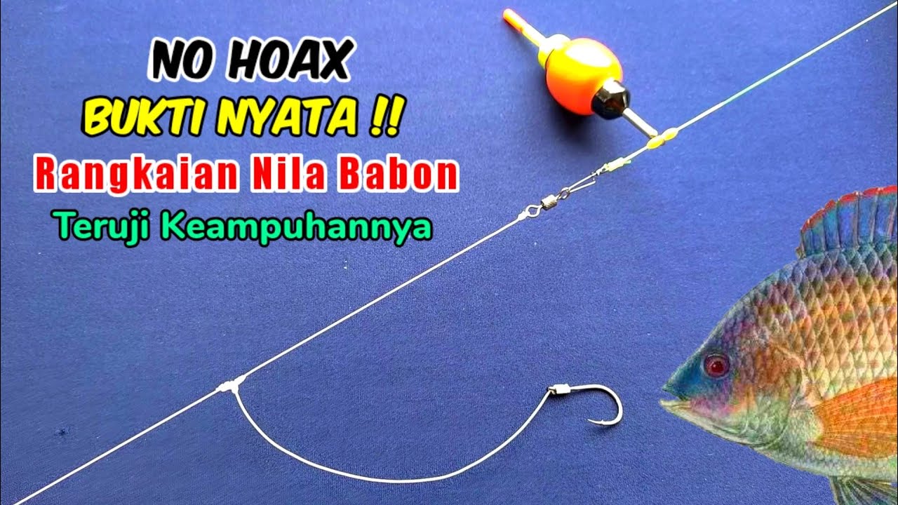 Rangkaian pancing Nila Babon Umpan cacing
