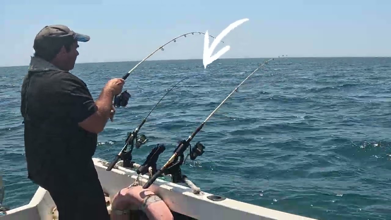 PESCA AO CHOCO É FÁCIL!!??? SÓ PODEM SER LOUCOS!!!! Episodio II