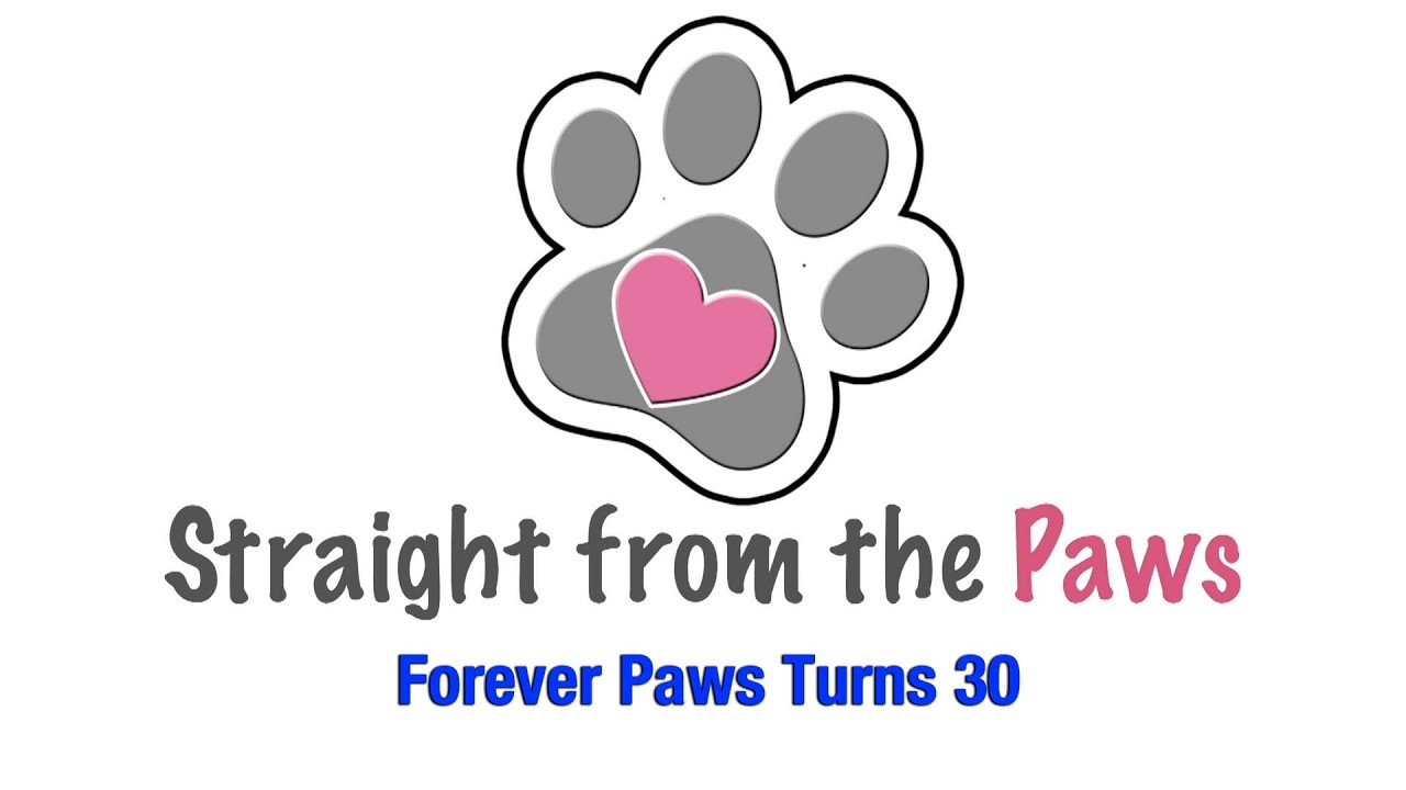 Straight from the paws  30 year anniversity