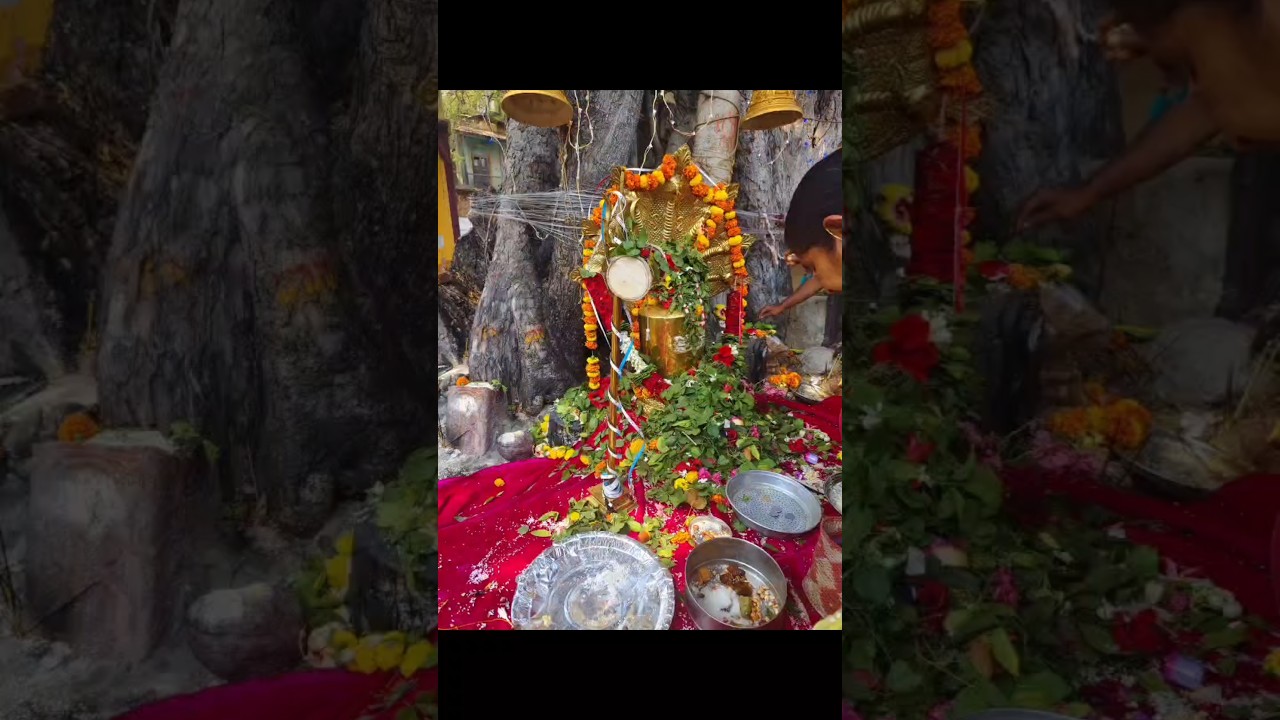 Mahashivratri 🙏🌸🕉️#mahashivratri #mahadev #shivratri #bholenath #lordshiva #harharmahadev#trending