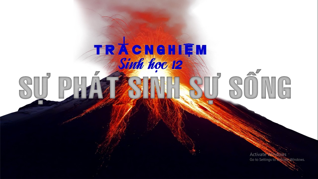 SỰ PHÁT SINH SỰ SỐNG | SINH HỌC 12 TRẮC NGHIỆM CƠ BẢN