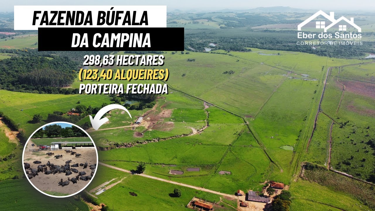 🌱 FAZENDA DE 298 HECTARES (123 ALQUEIRES) DE PORTEIRA FECHADA EM SANTANA DO ITARARÉ 🐃