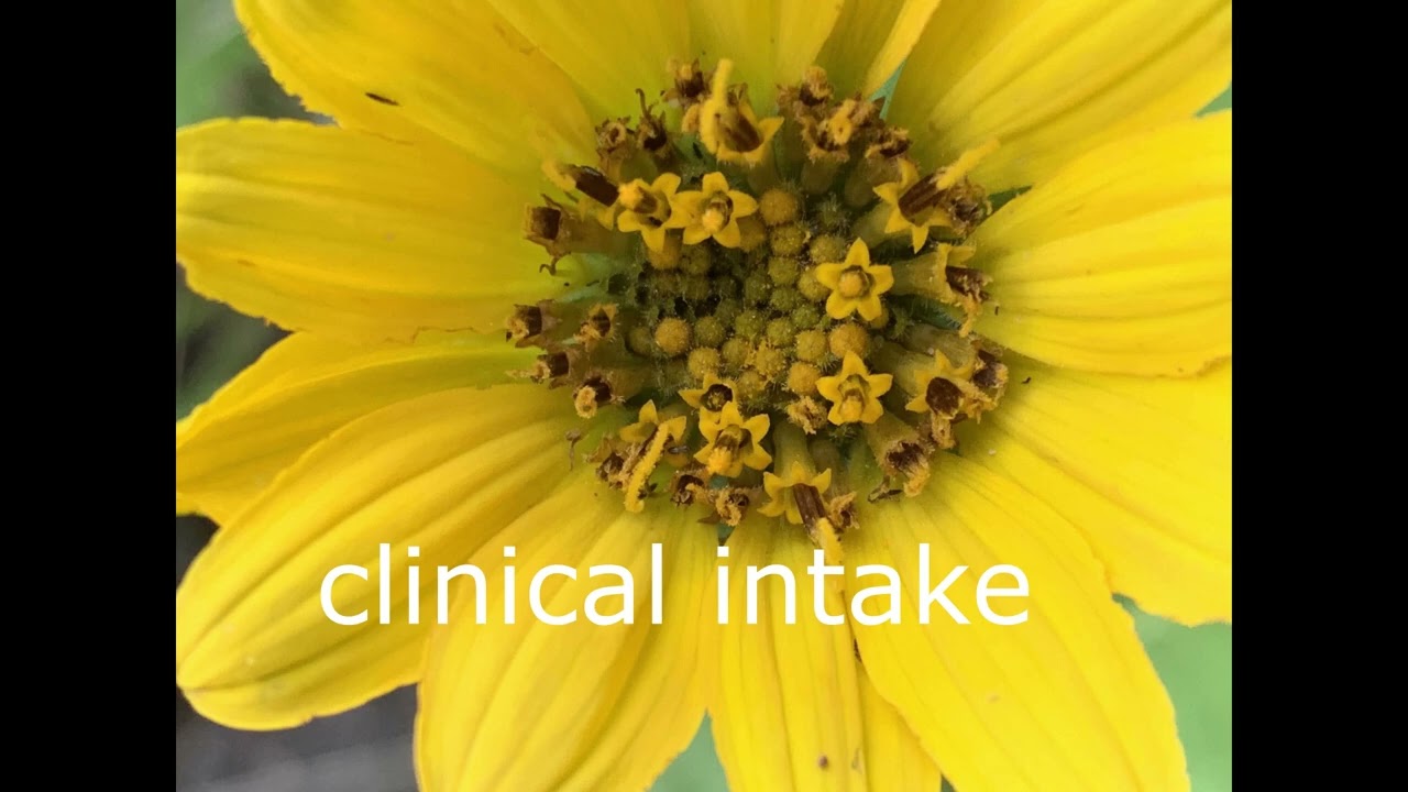 A Clinical Herbalism Series: Chronic Illness in Clinical Setting