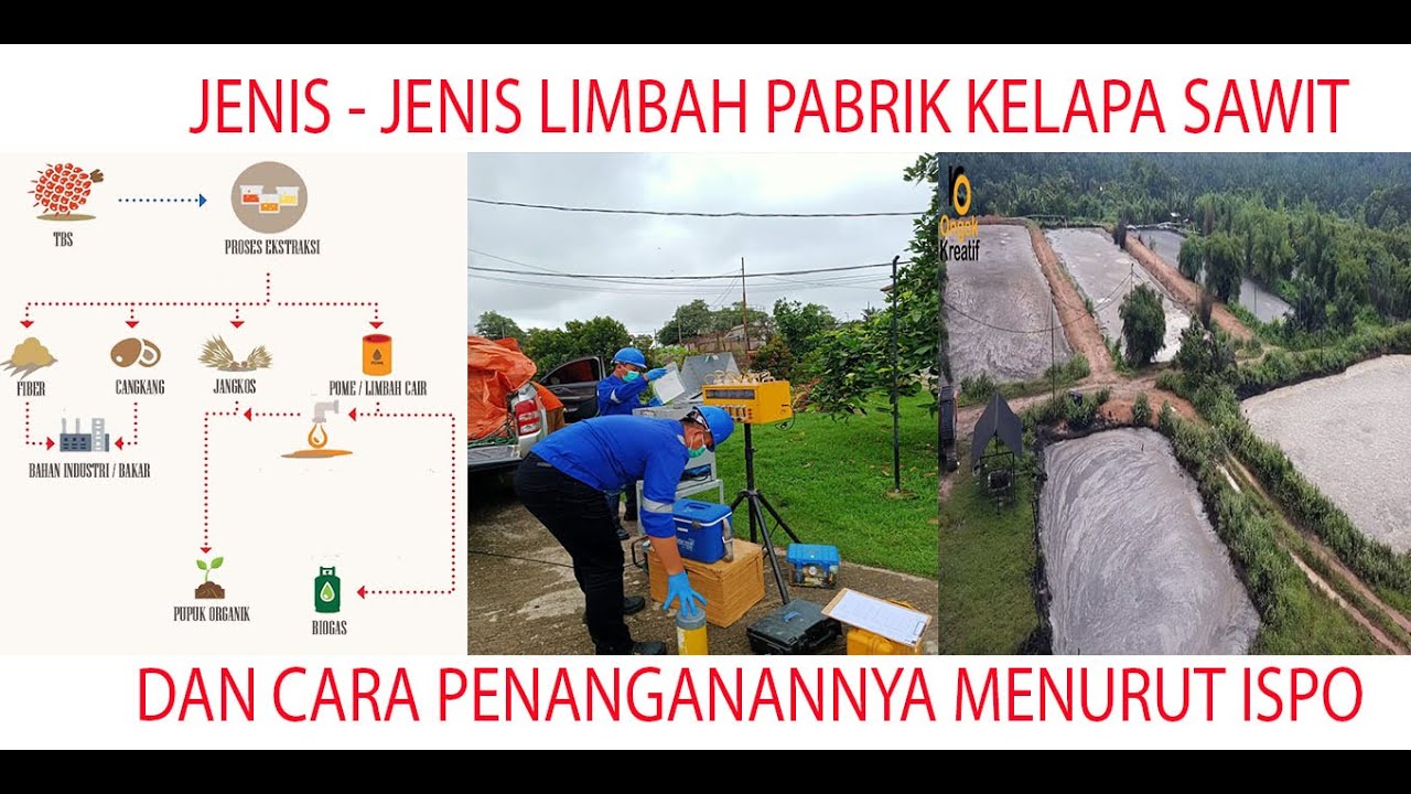 JENIS - JENIS LIMBAH PABRIK KELAPA SAWIT DAN CARA PENANGANANNYA MENURUT ISPO
