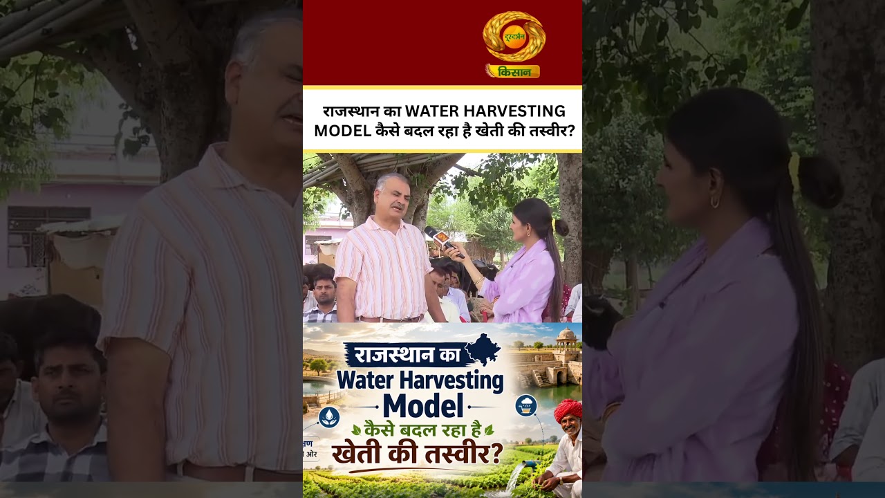 WATCH | How Rajasthan's Water Harvesting Model is Changing the Face of Farming | Chaupal Charcha