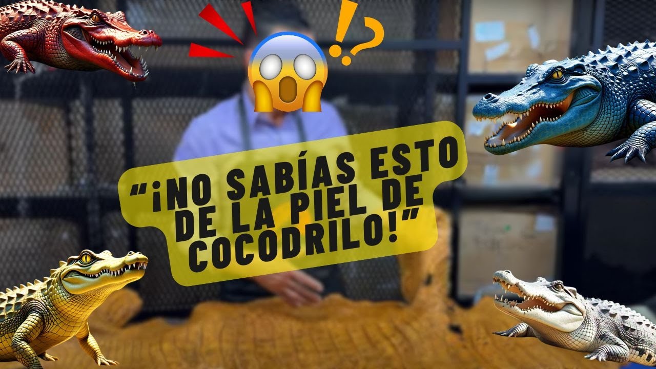 ASÍ SE VEN LAS DIFERENTES PIELES DE COCODRILO 🐊