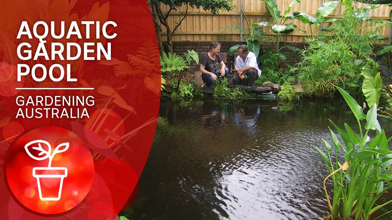 Convert your pool into a pond | DIY Garden Projects | Gardening Australia