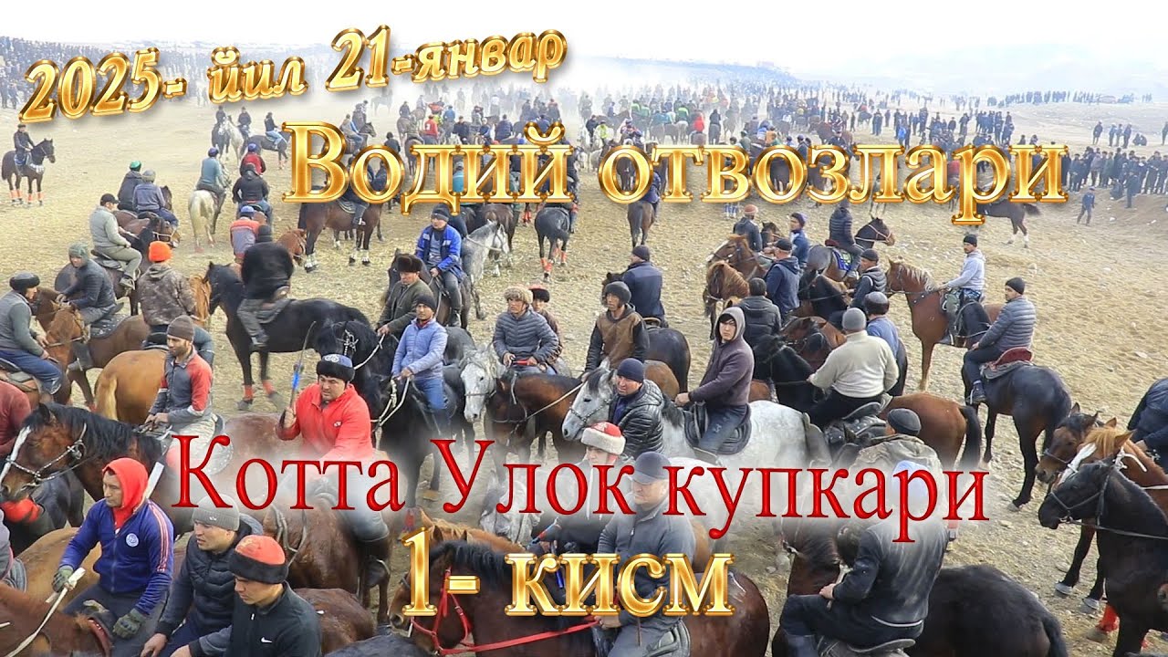 Водий отвозлари улок купкариси 2025 йил 21-январ 1-кисм