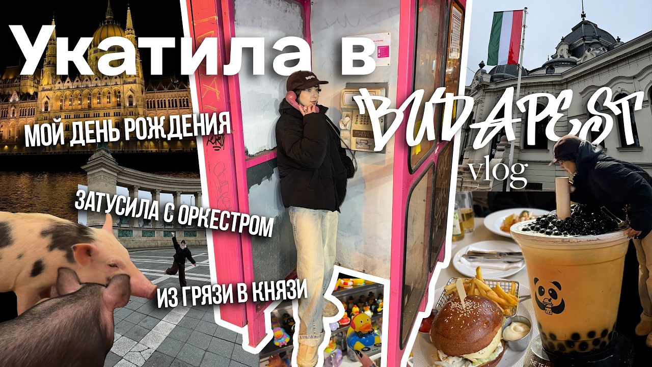 VLOG: Укатила в Будапешт | Мой день рождения | Из Грязи в Князи | Затуcила с Оркестром 🇭🇺