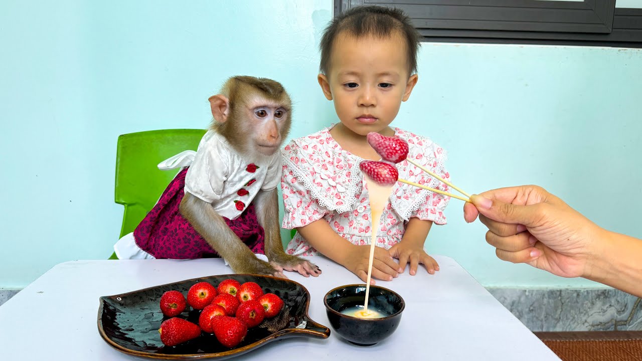 Monkey Hair Red