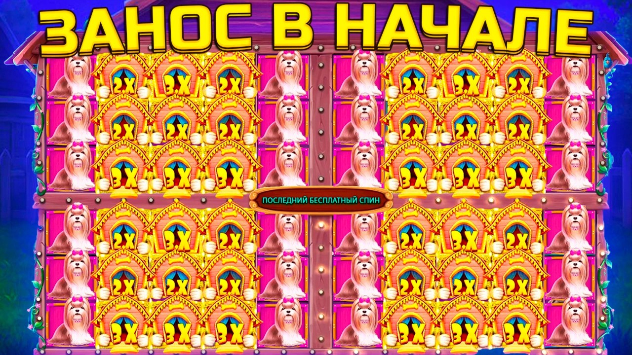 НЕВЕРОЯТНАЯ СЕССИЯ С 12 000 В СОБАКАХ, КУЧА БОНУСОК