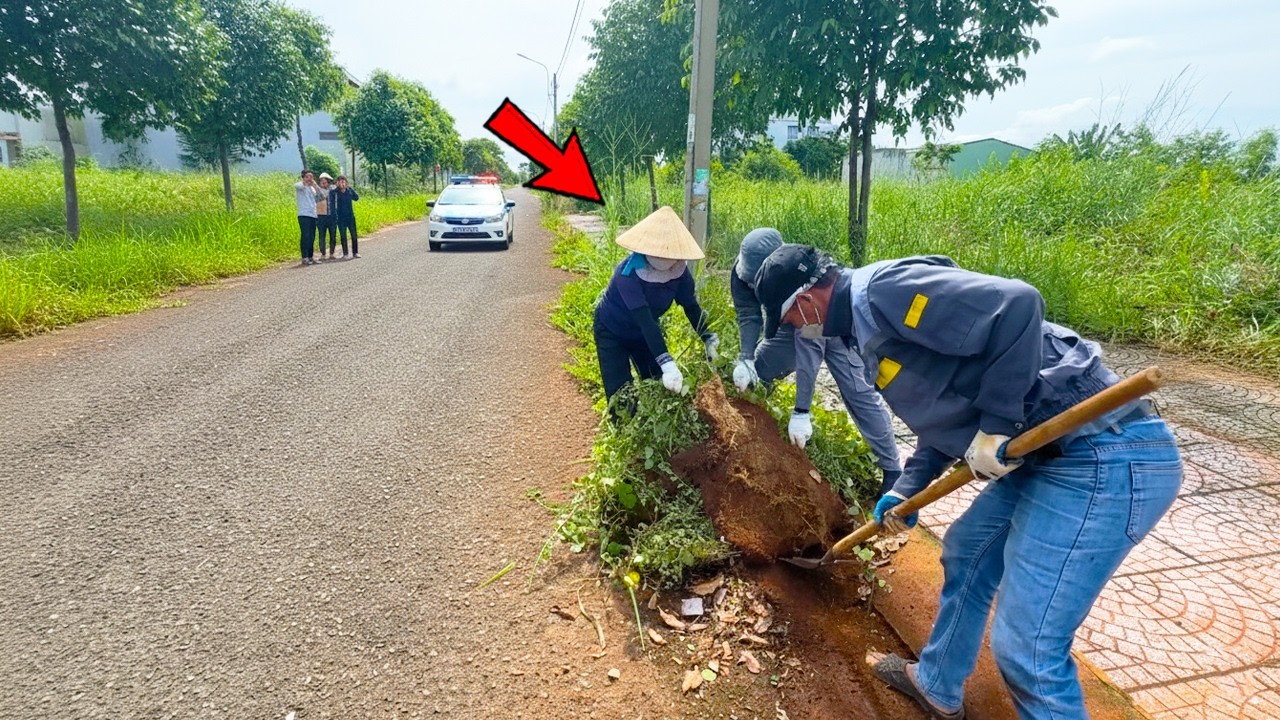 😱 SHOCKING Sidewalk Transformation – You Won’t Believe the Before & After! | Clean up