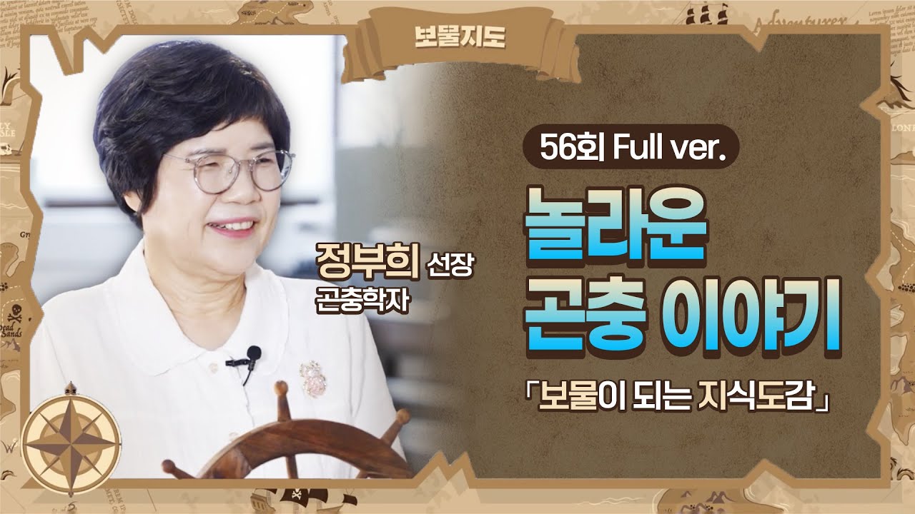 [보물지도] 56회 Full ver. 놀라운 곤충 이야기 l 곤충학자 정부희