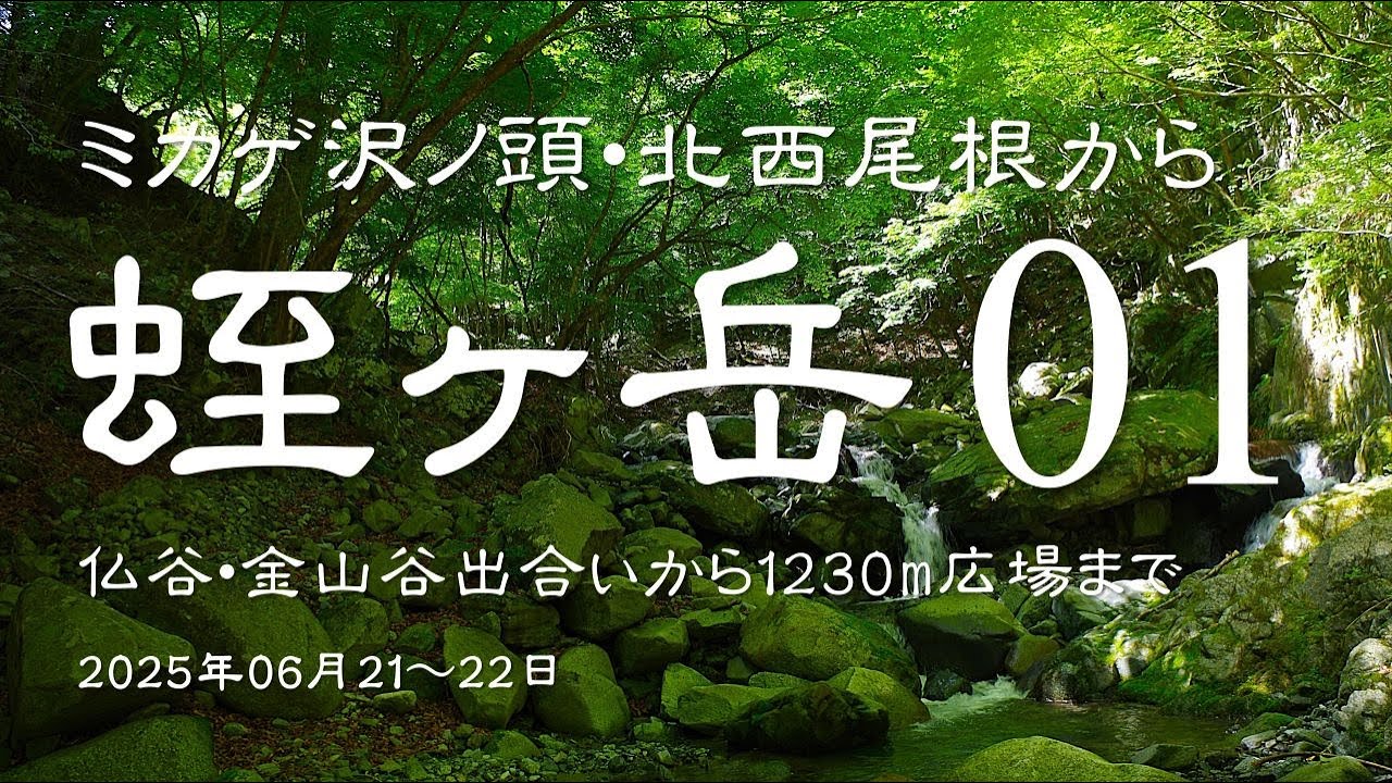 蛭ヶ岳 01 ミカゲ沢ノ頭 北西尾根から　＜仏谷、金山谷出合いから1230m広場まで＞　#蛭ヶ岳　#ミカゲ沢ノ頭　#中年ヘタレソロハイカー #西丹沢 #登山