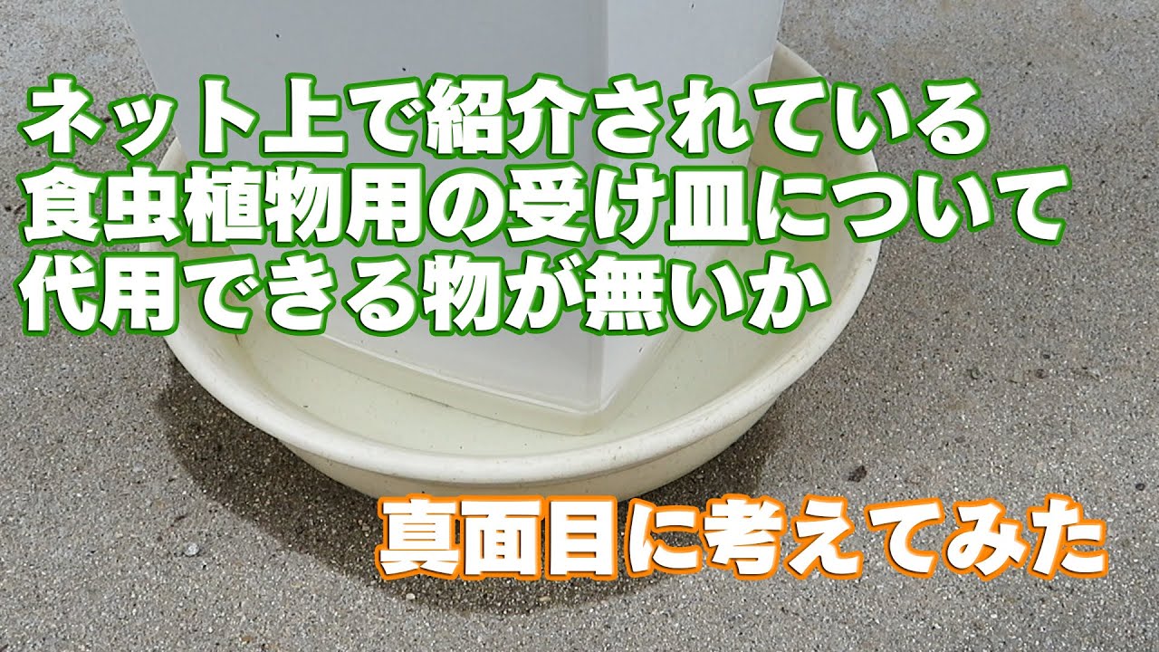 食虫植物の受け皿を考える