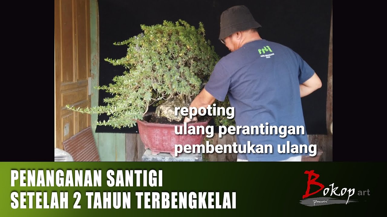 PENANGANAN SANTIGI SETELAH 2 TAHUN TERBENGKELAI