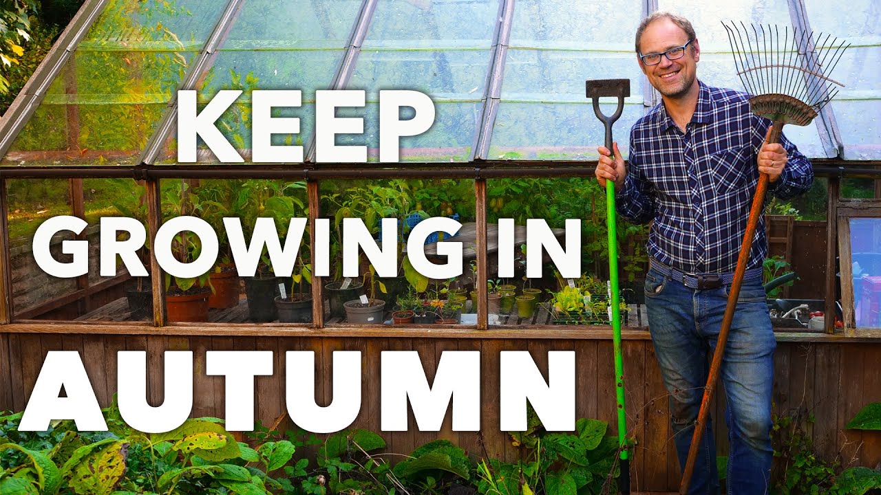 Productive Fall Garden: Keep Growing!