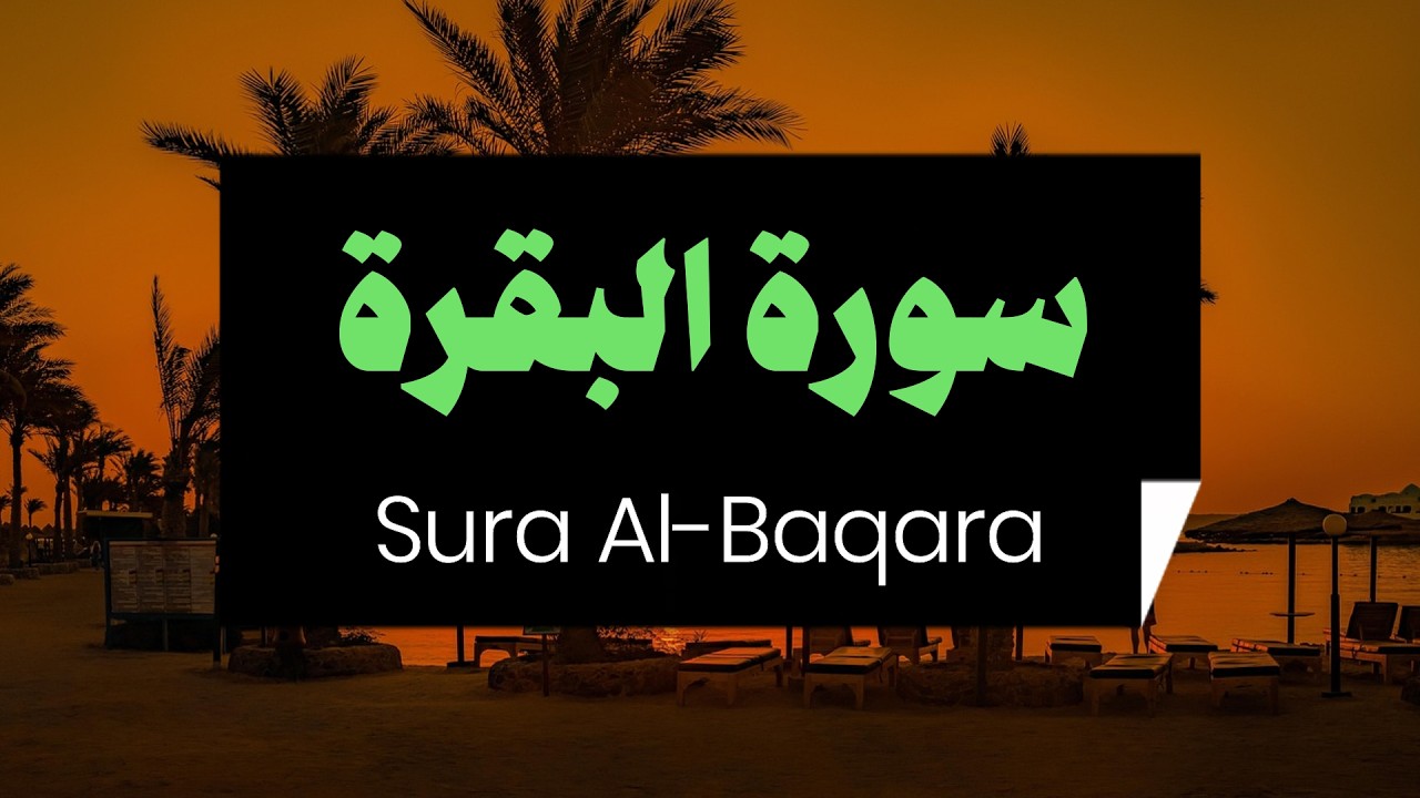 2- سورة البقرة - القارىء علاء عقل