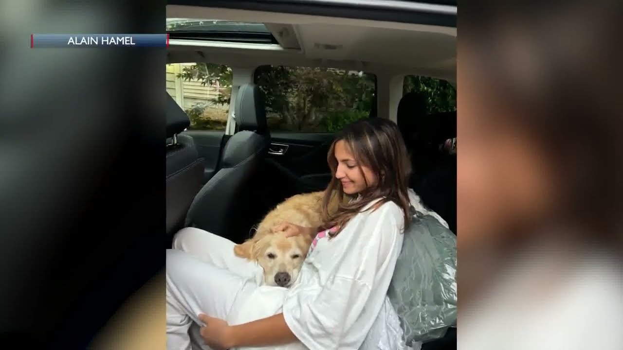 UCSB student dies following a fall from campus residence hall, family confirms