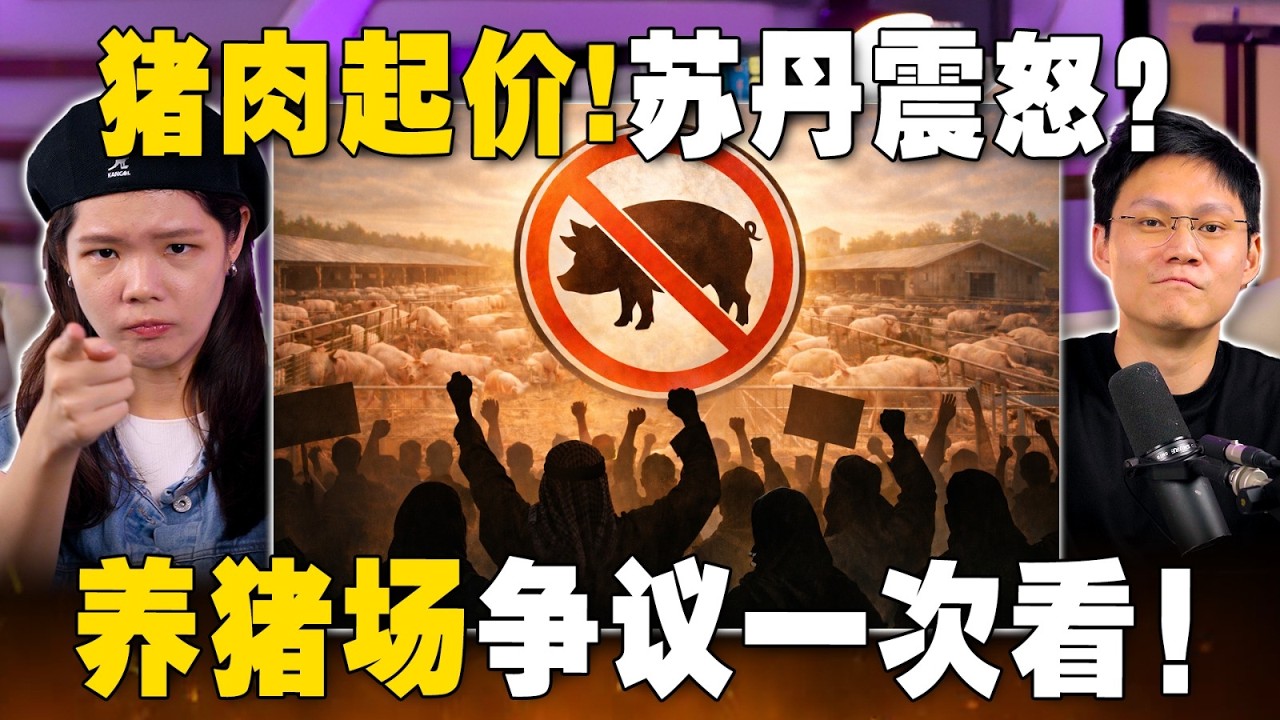 雪州养猪场风波惹怒苏丹？食安危机恐酿种族课题？【#新闻随便看 17/1】