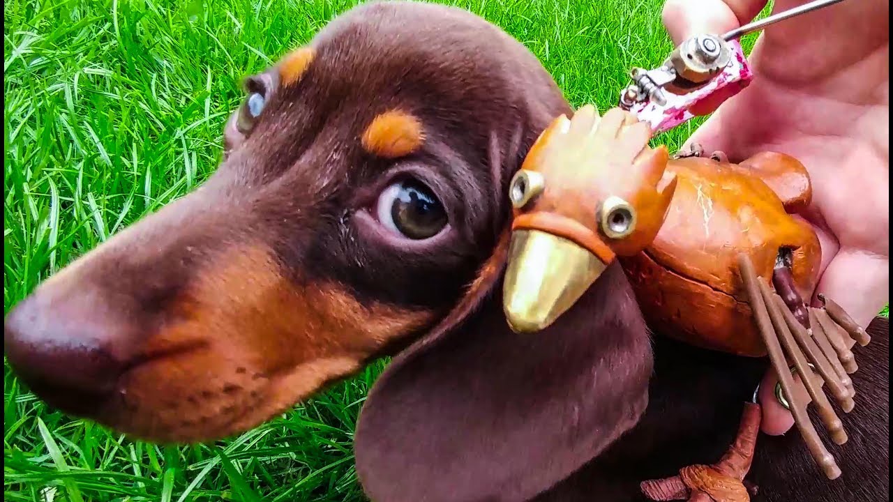 💗 НЕОЖИДАННЫЕ ДРУЗЬЯ!! 💗... СОСИСКА и ДАБЧИК!!... ТАКИЕ МИЛЫЕ, ОМГ!!!! 💗❤💗❤💗