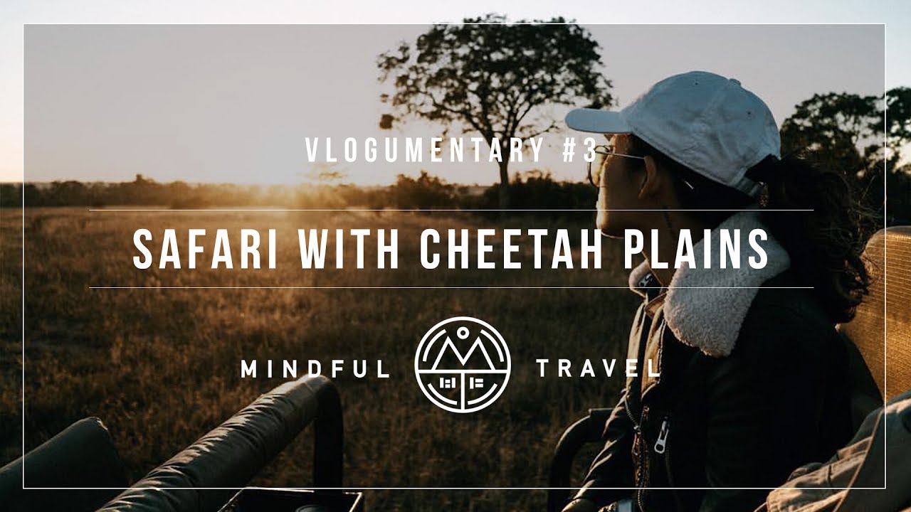 #BEAUTIFULIFE VLOGUMENTARY 3 - Safari With Cheetah Plains