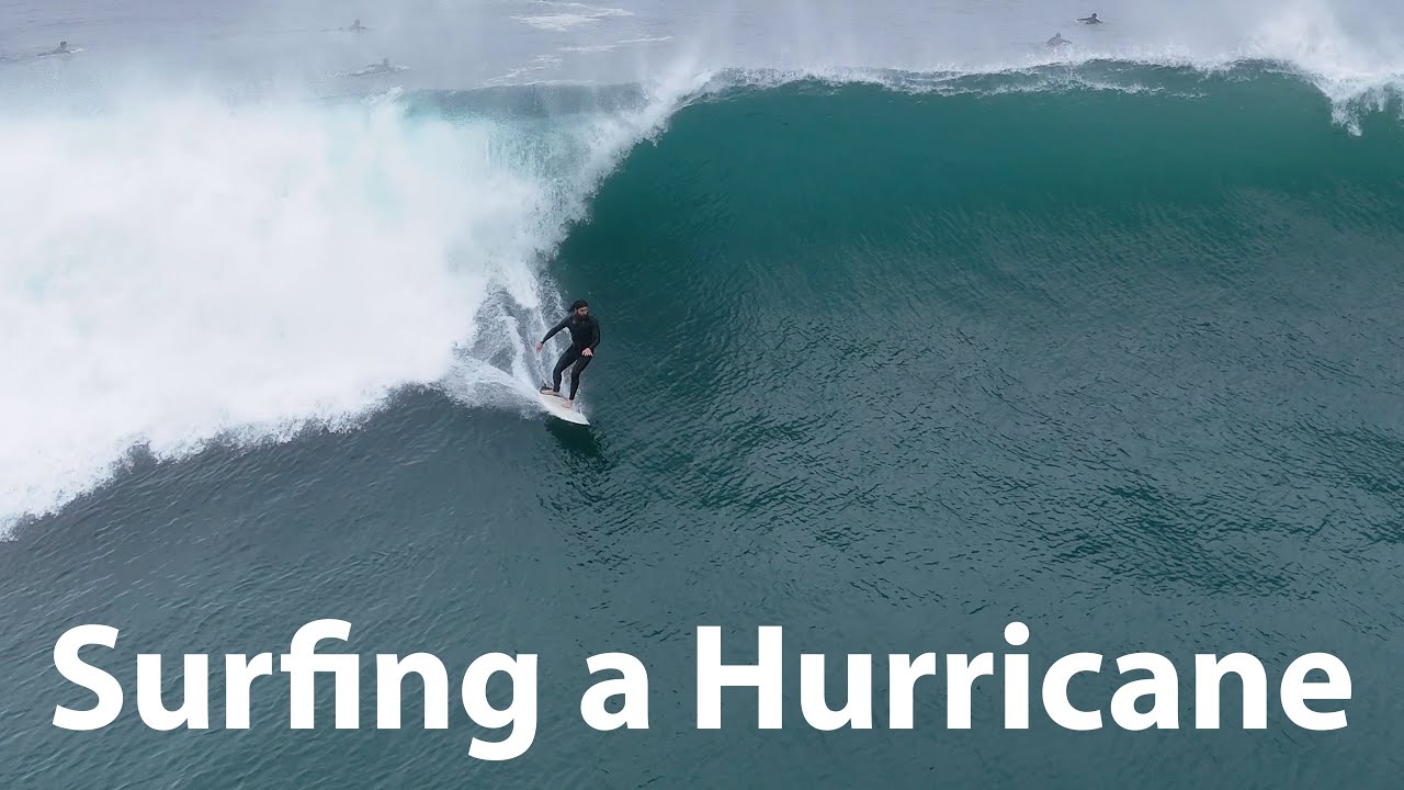 WAVES of the WEEK SAN DIEGO