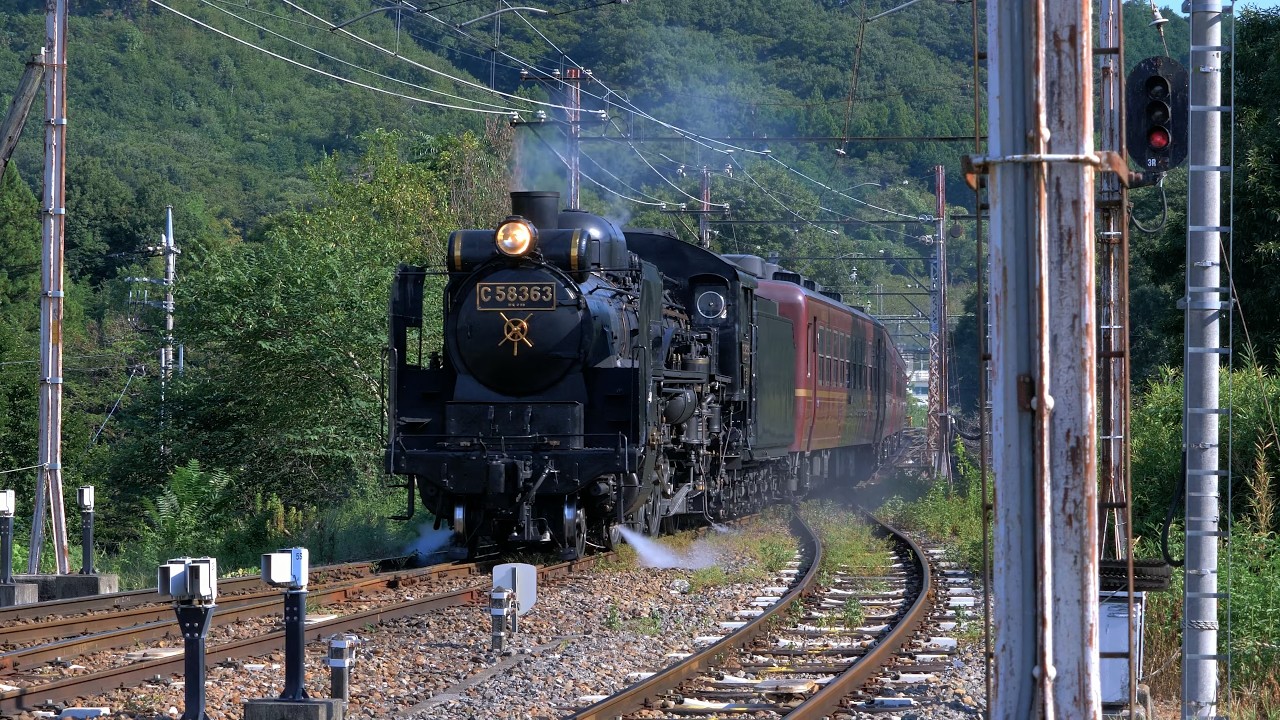 でもガンバって煙をはいてくれました。【SLパレオエクスプレス】C58 363＋12系客車　2025年9月7日後半　田野　白久　浦山口　上長瀞　樋口　石原