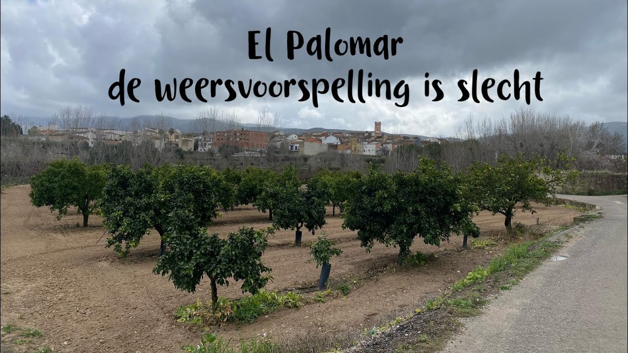 Overwinteren 24-25 #38 El Palomar  #overwinteren #spanje #portugal