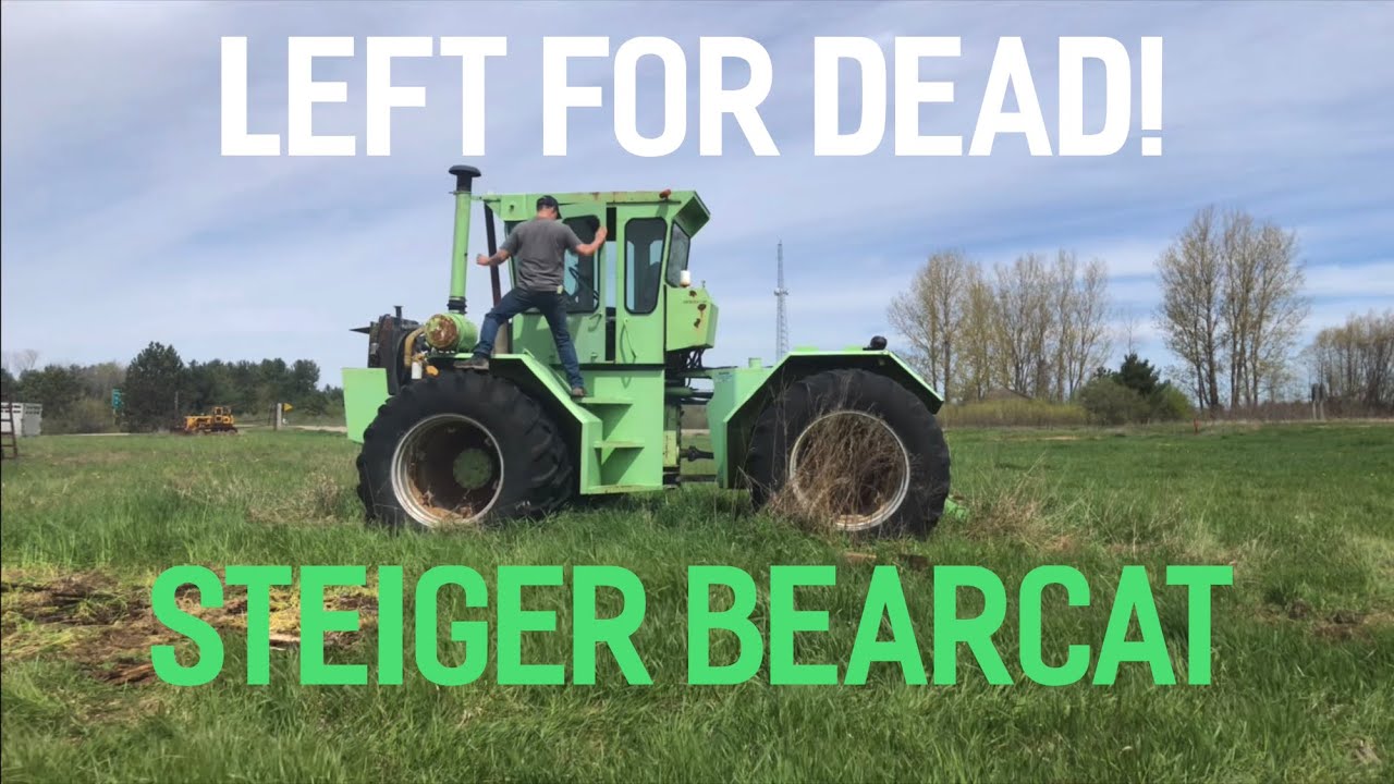 ЗАБЫТЫЙ Steiger Bearcat! Заведётся ли он и доедет ли до дома?