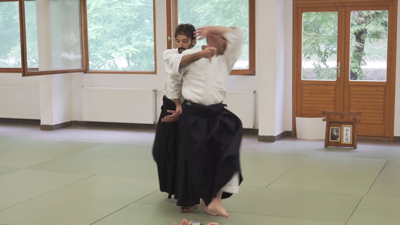 Aikido: Seminar Summary Stephane Goffin Hungary 2015