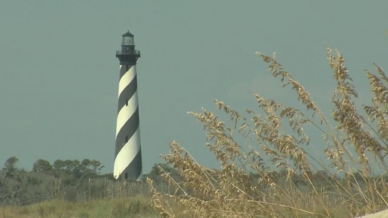 Birds of a feather stick together and like humans enjoy spending time on the Outer Banks.