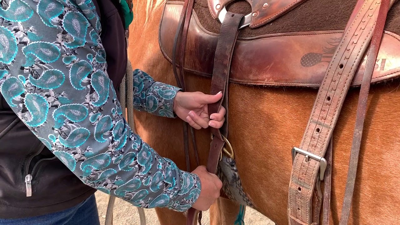 Saddling a Horse