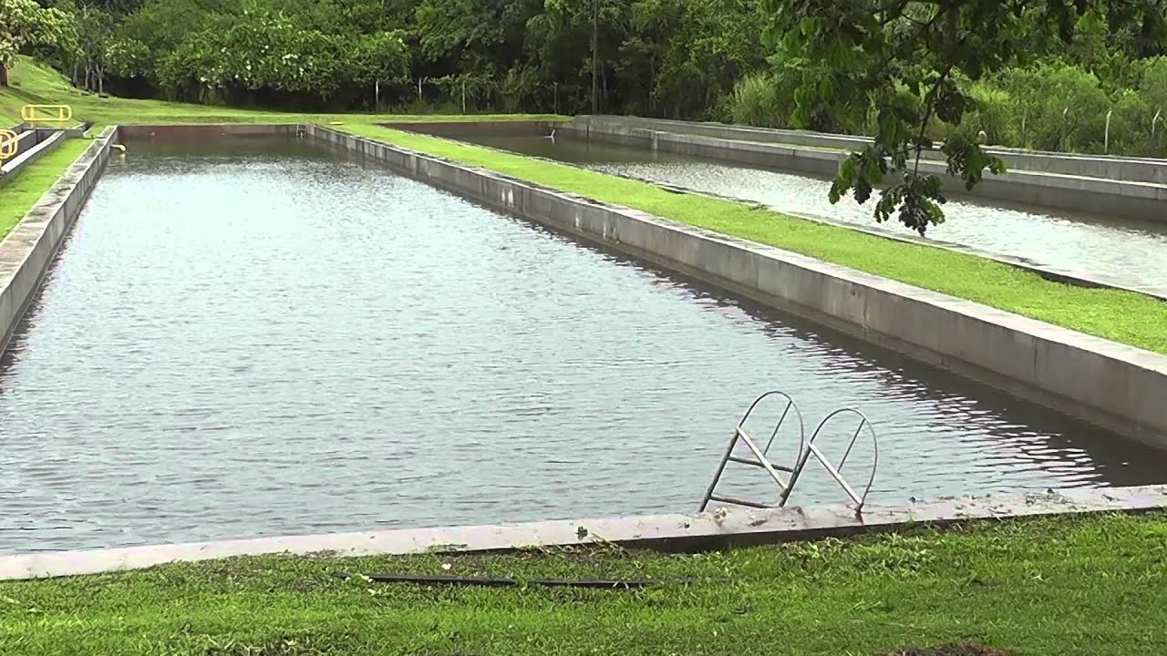 PY PRODUCTIVO PISCICULTURA ITAIPU 24 12 2014