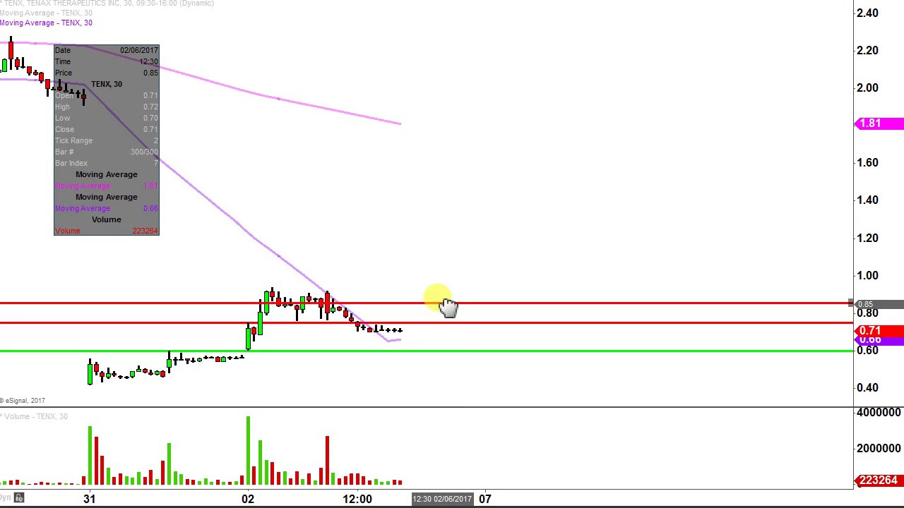 Tenax Therapeutics Inc - TENX Stock Chart Technical Analysis for 02-03-17