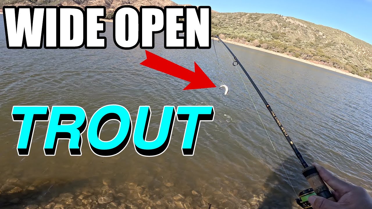 WIDE OPEN SoCal Trout Fishing [Silverwood Lake]