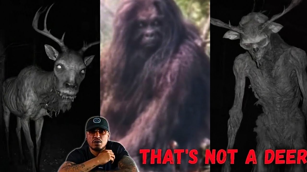 Mountain Nightmares Caught on Camera