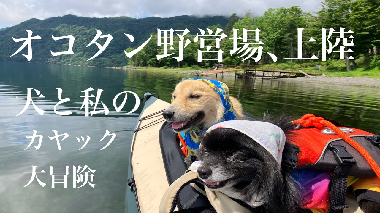 【北海道犬連れカヤック一人旅】カヤックで行くオコタン野営場〜犬と私の大冒険！漕いで泳いで、またしても最後には大自然の洗礼を受ける…