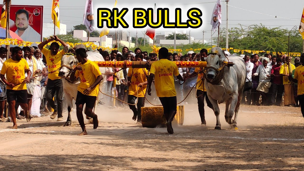 కారంపూడి న్యూ కేటగిరి విభాగం🌿3వ జత🌿RK BULLS🌿5000